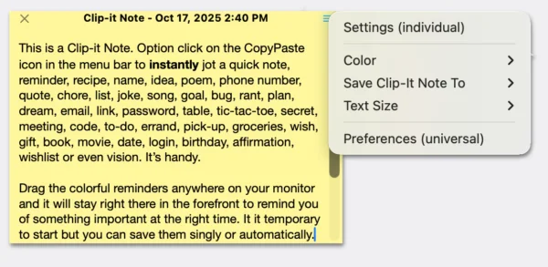 CopyPaste Clip-It Notes
