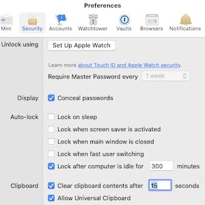 CopyPaste Password Manager Safe