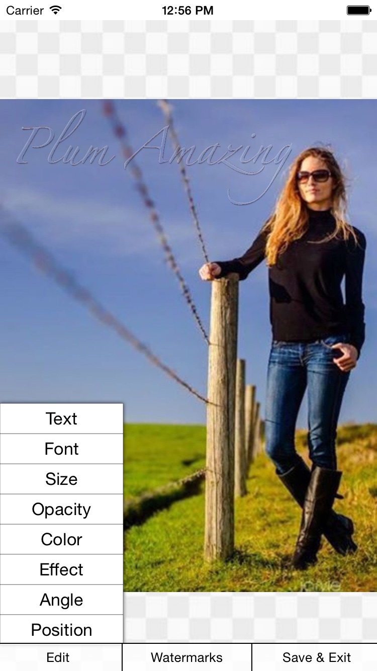 iWatermark iPhone screenshot showing text watermark controls on a photo