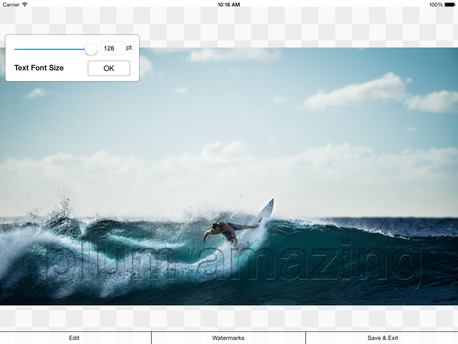 iWatermark on iPad showing text font size controls over a photo