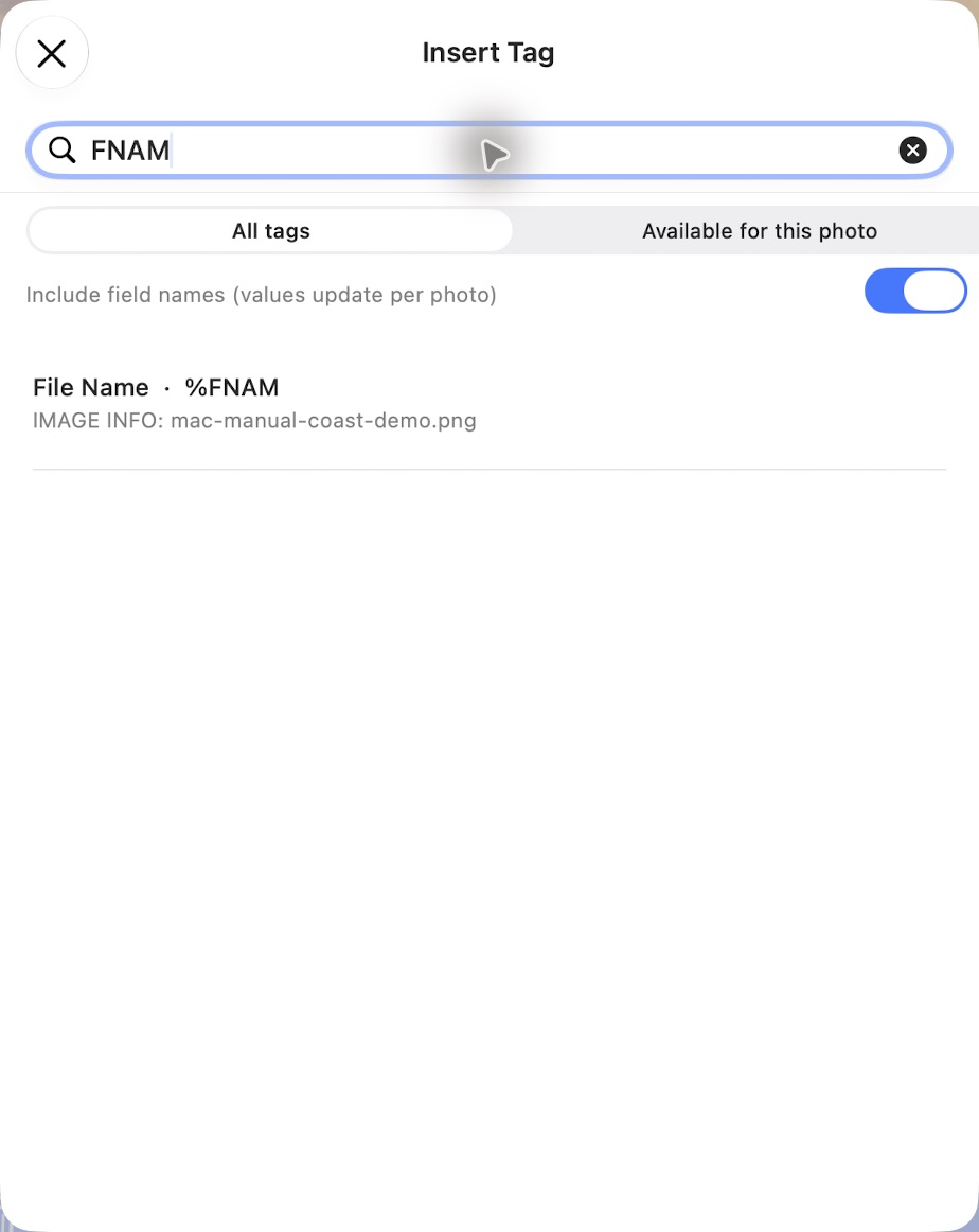 Searching for FNAM in the Mac Insert Tag chooser. File Name is a variable whose value changes for each photo.