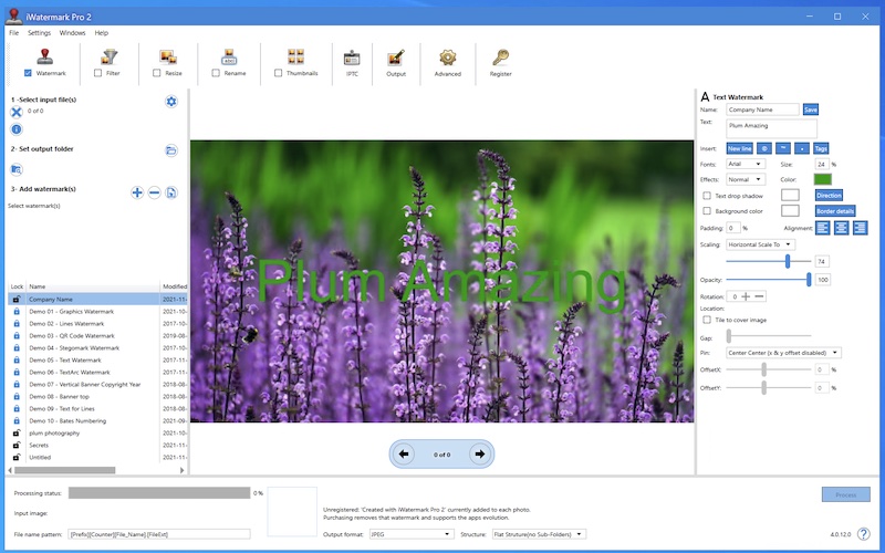 Windows 10 iWatermark Pro 2 for Windows full