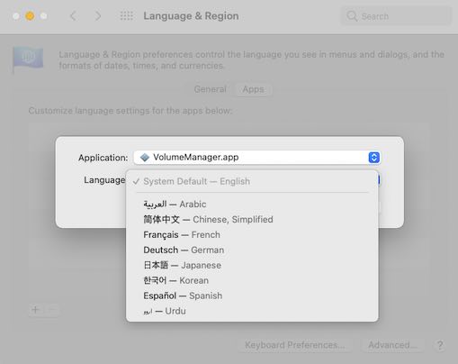 set language in volume manager