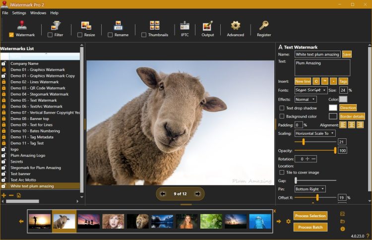 iWatermark Pro 2 for Win Sheep Screenshot