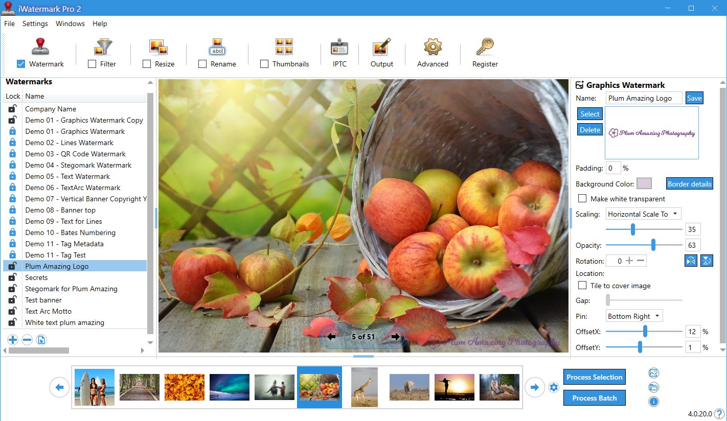 iWatermark Pro 2 for Windows - #1 Win Watermark Photos App 5 iwatermark pro 2