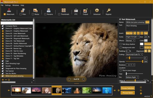 iWatermark Pro 2 Lion for Win Dark Mode